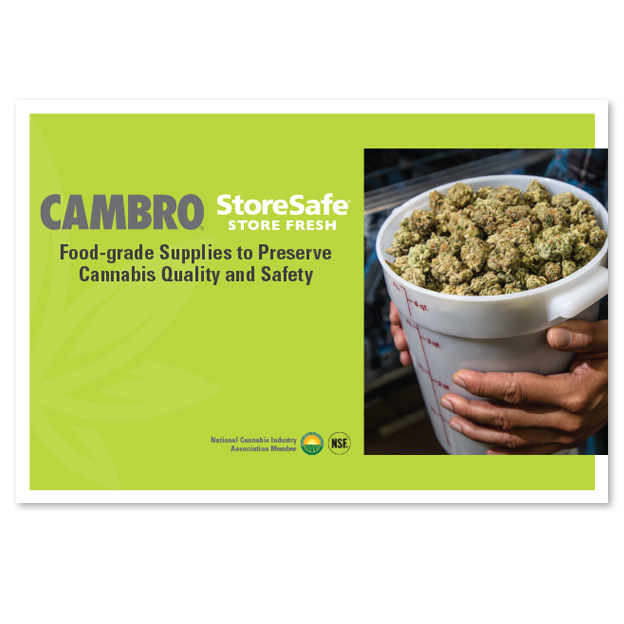Cannabis brochure